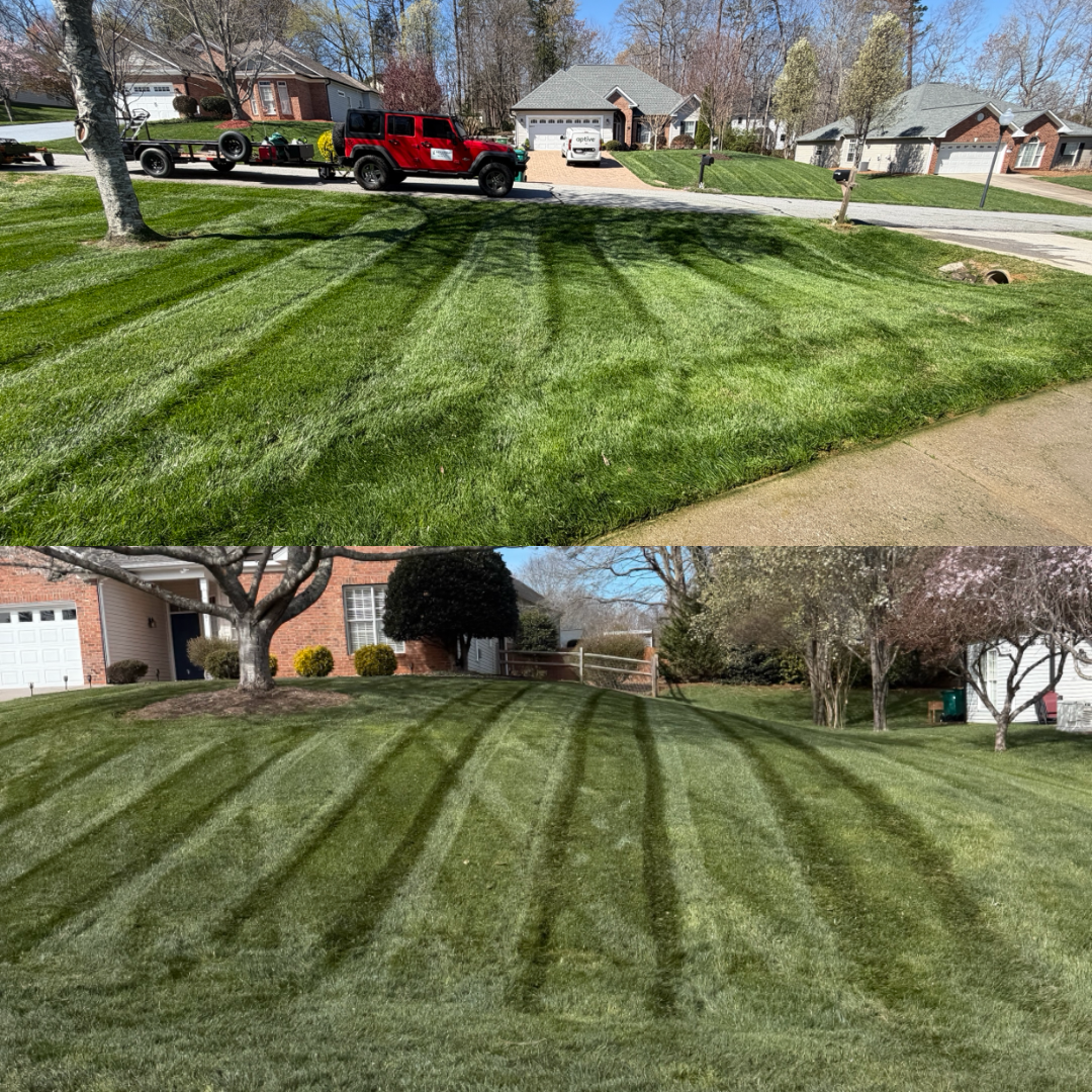 Lawn Mowing for Holloway Yard Company in Winston-Salem, NC