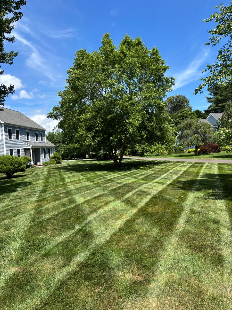 Premium Lawn Maintenance for Emerald Exterior Property Management in Old Lyme, CT