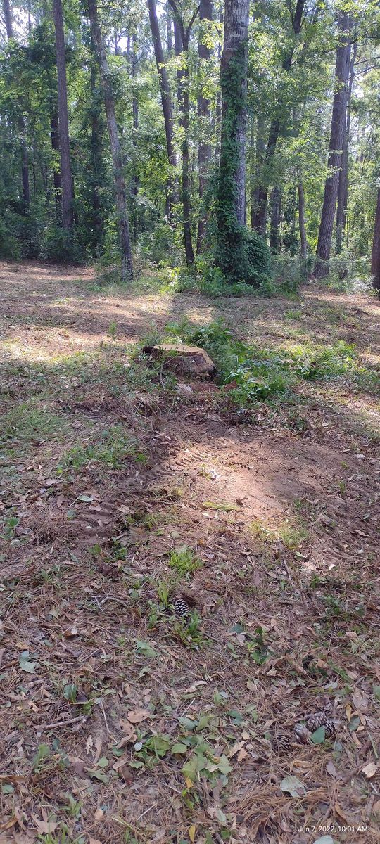 Bush Hogging for Southern Venom Services in Daphne, AL