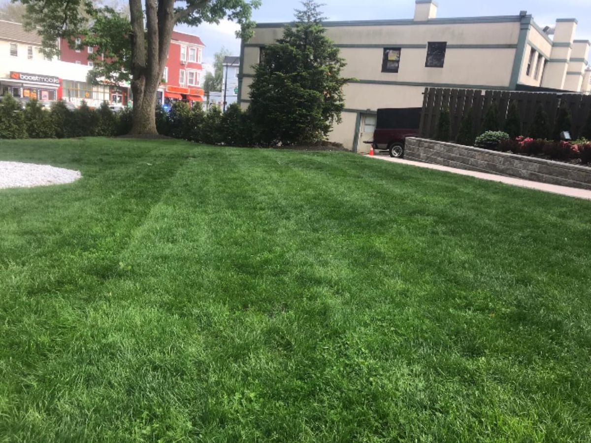 Lawn Maintenance for LGZ Landscaping LLC in Belleville, NJ