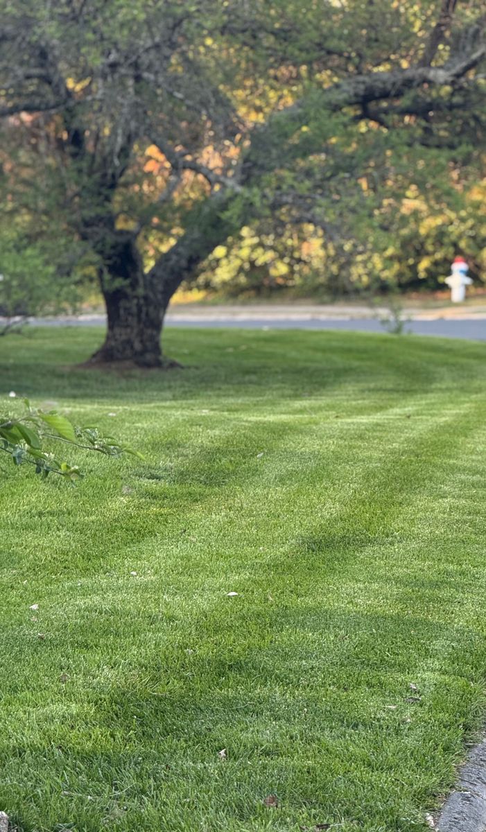 Lawn Maintenance for Legends Lawn Care in Johnson City, TN