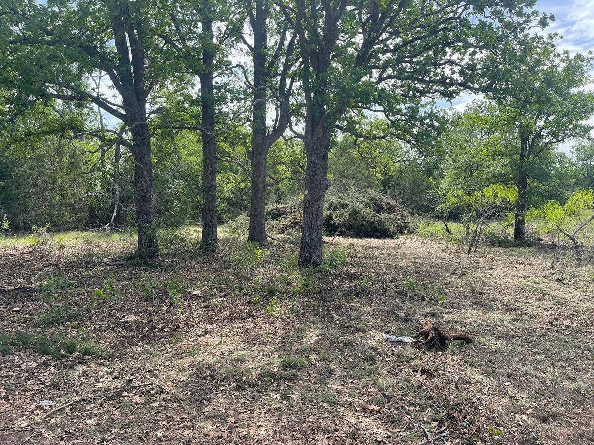 Land Clearing for CrossCut in Kempner, TX