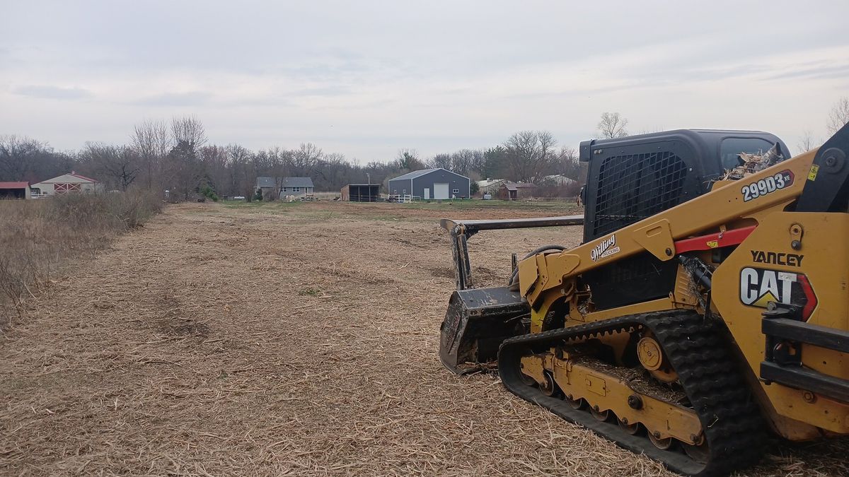 Land Clearing for Willing Trucking & Excavating in Evansville, WI