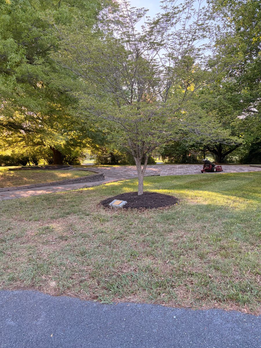 Mulch Installation for Valencia’s Lawncare in Charlottesville, VA
