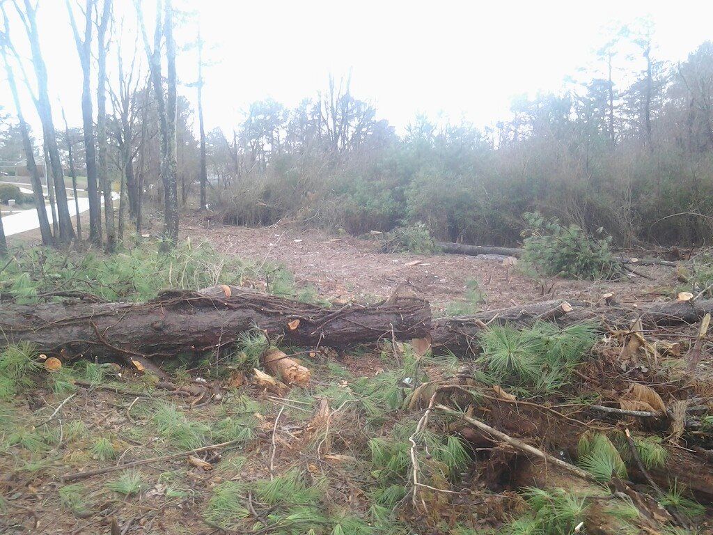 Tree Trimming for Wofford's Grading Clearing and Landscaping in Milton, GA