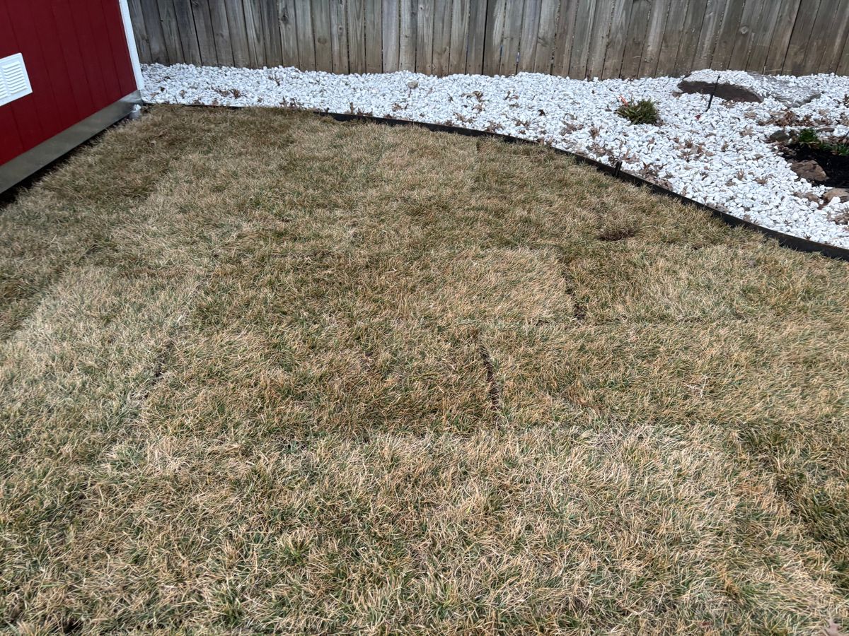 Lawn Maintenance for Three Angels Lawncare in Rogers, AR