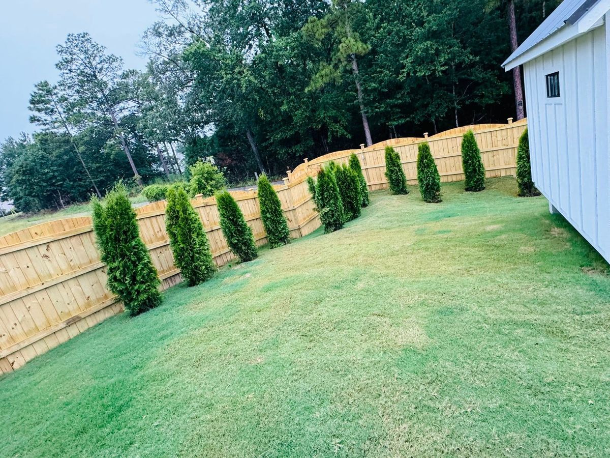 Shrub & Tree Trimming for Trophy Outdoor Solutions in Lexington, SC