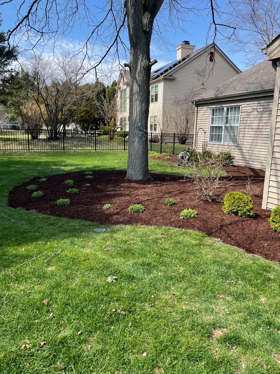 Planting for MDR Landscaping in Urbana, IL