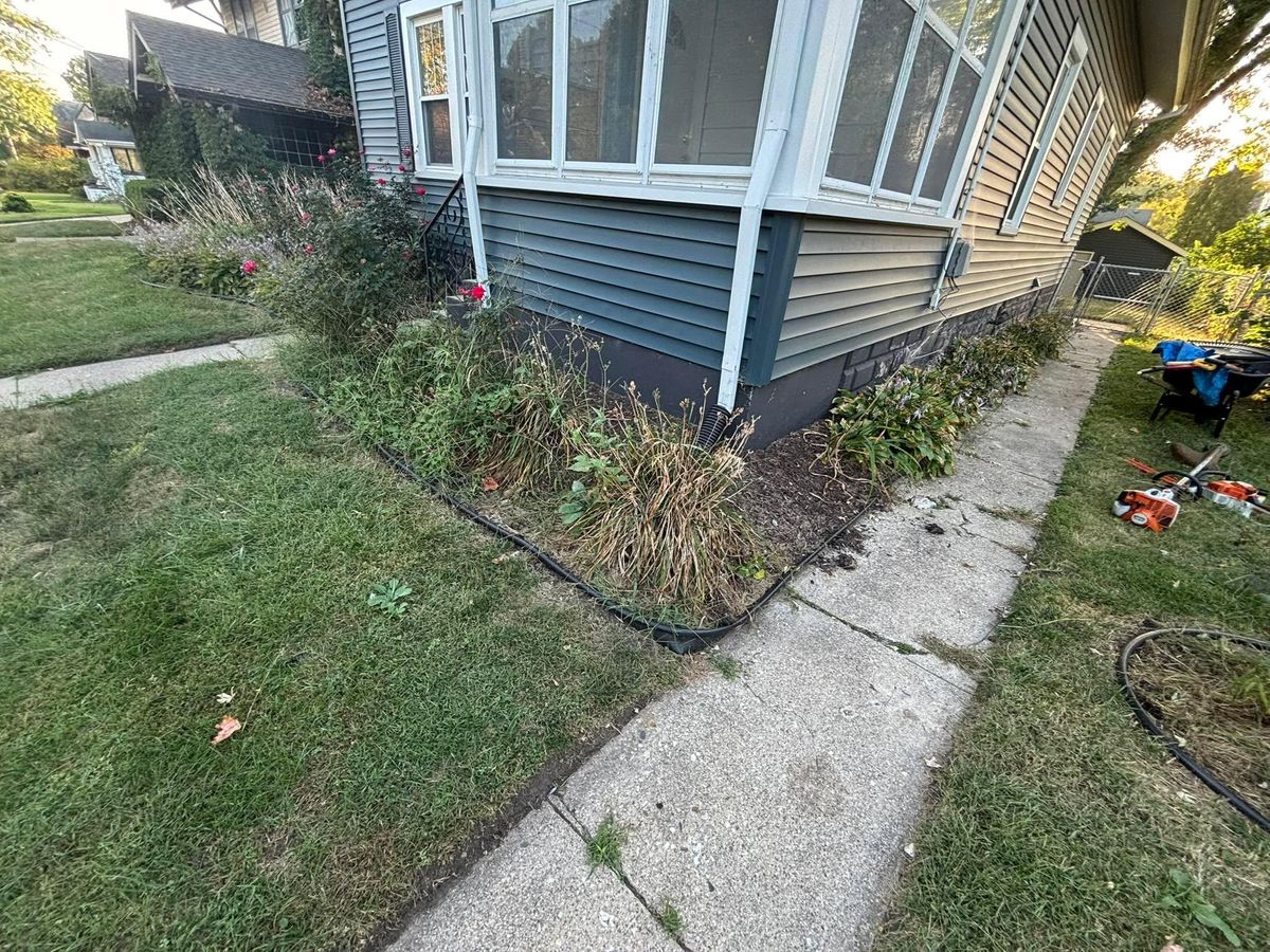 Shrub Trimming for Cena Landscaping in Rockford, IL