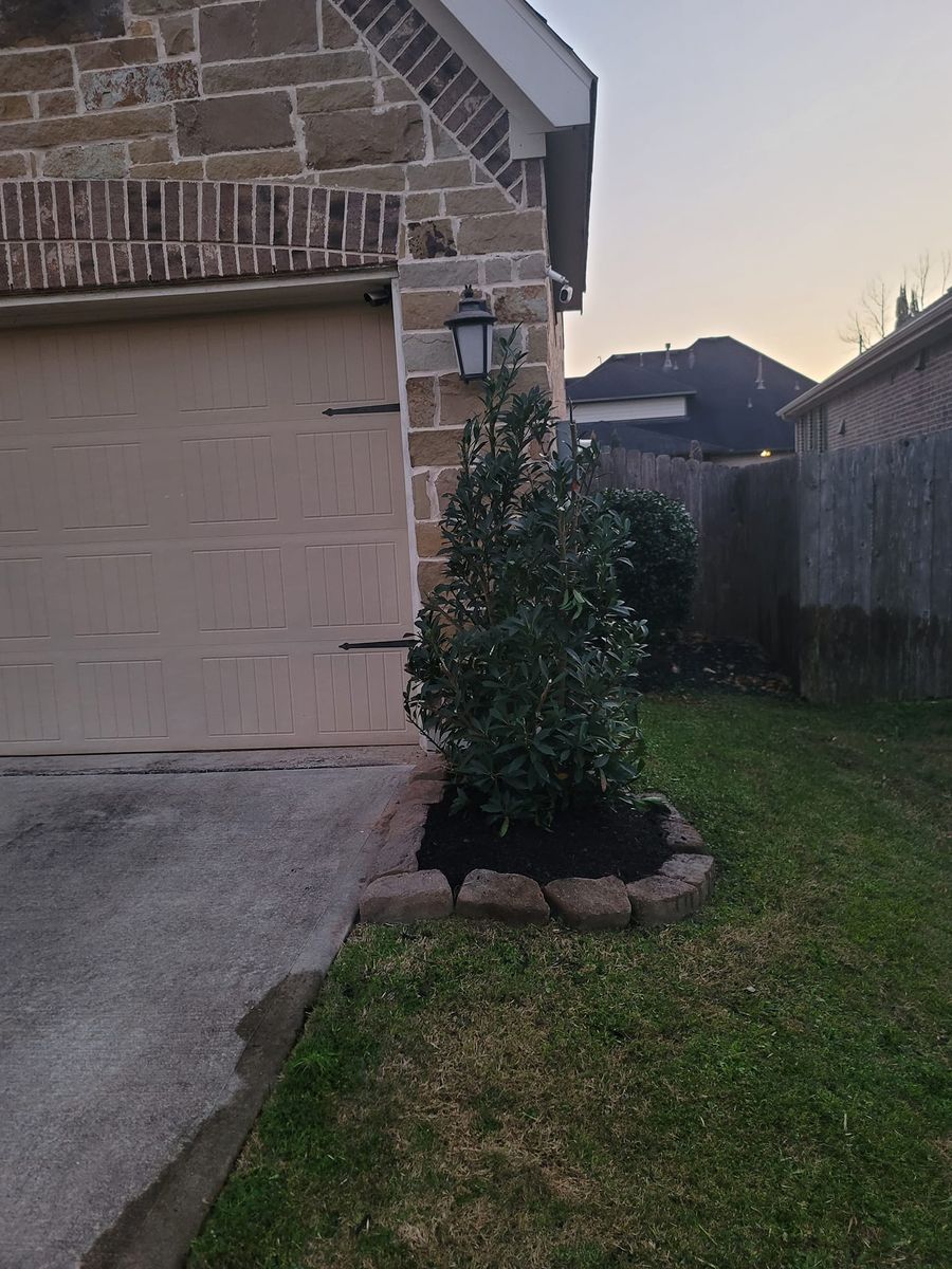 Shrub Trimming for Right Choice Landscaping LLC in Houston, TX