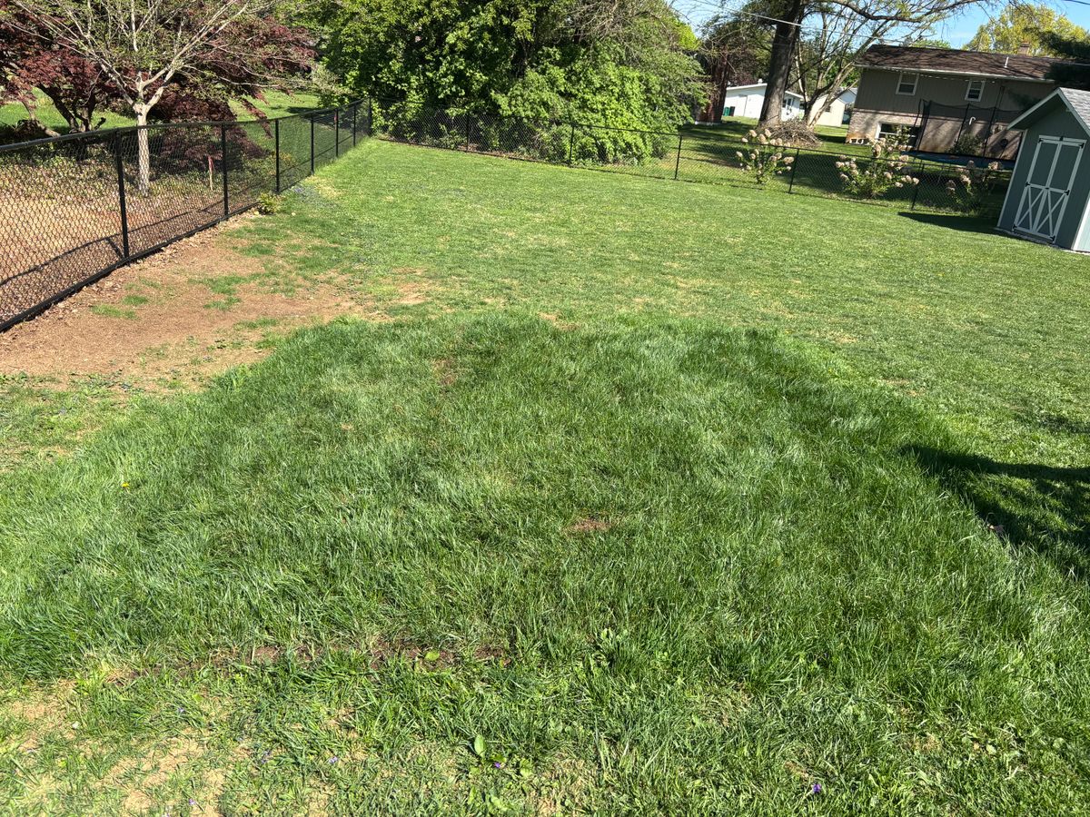 Sod Install for Backyard Acres Lawncare LLC in Chambersburg, PA