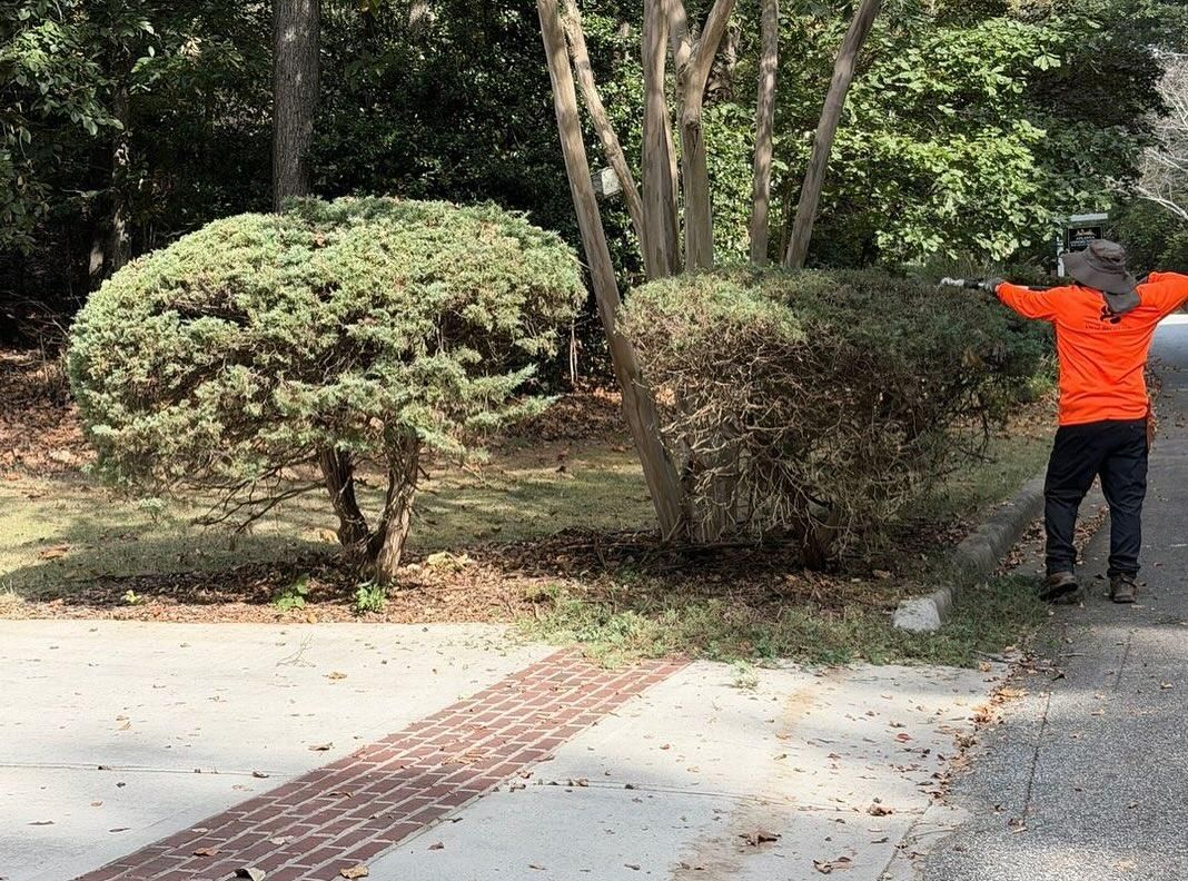 Landscaping Design for Two Brothers Landscaping in Atlanta, Georgia