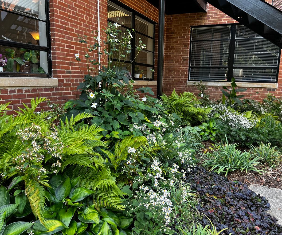 Residential and Business Maintenance Program for Christina King Landscape Design in Raleigh, NC