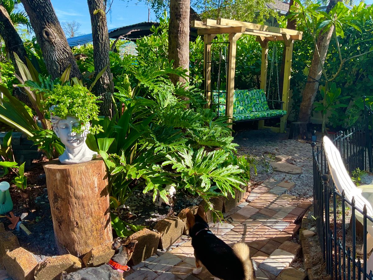 Landscape Design for DelliQuadri Landscapes LLC in North Port, FL