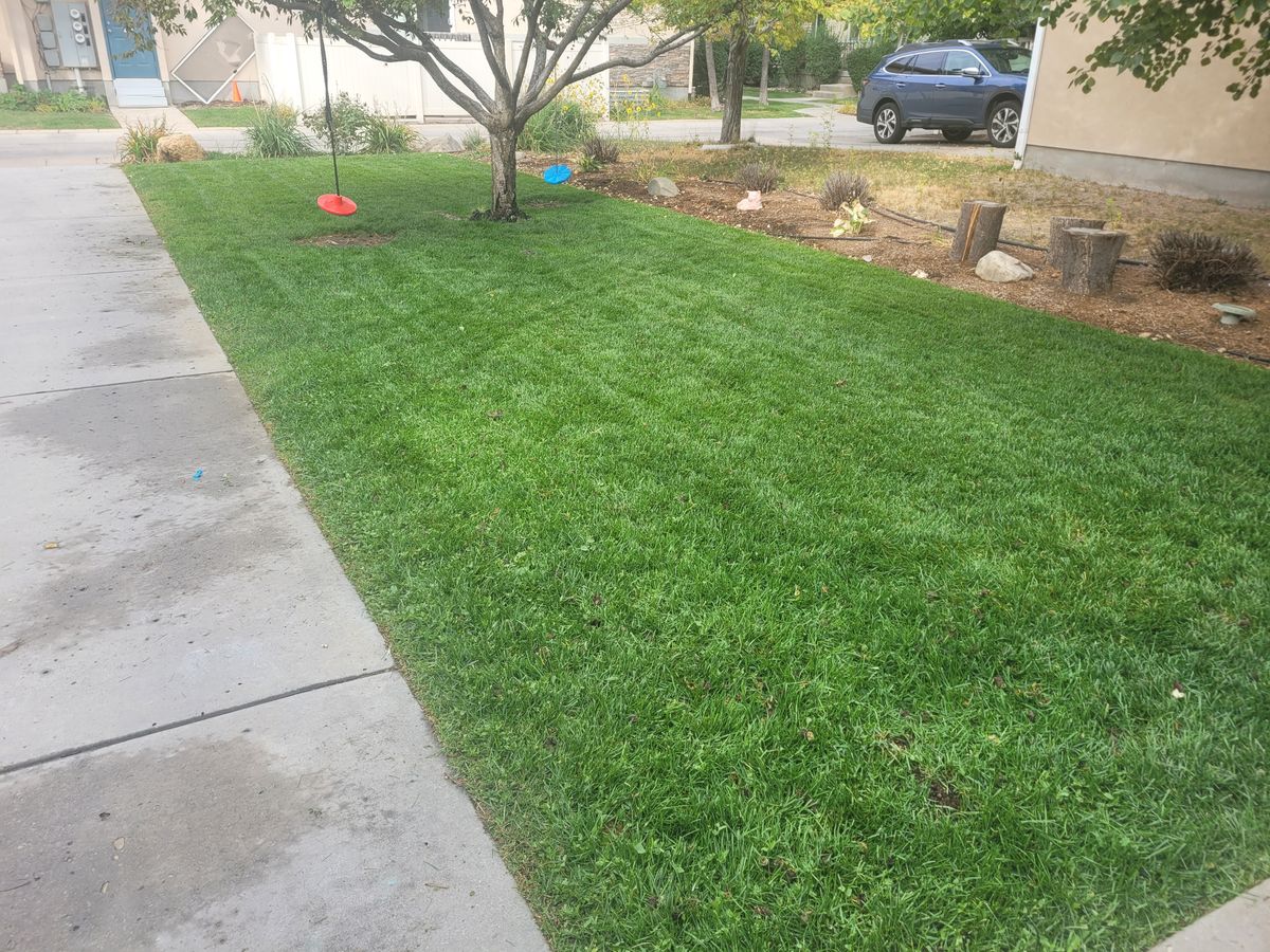 Lawn Aeration for Silver Service Pros in Riverton, UT