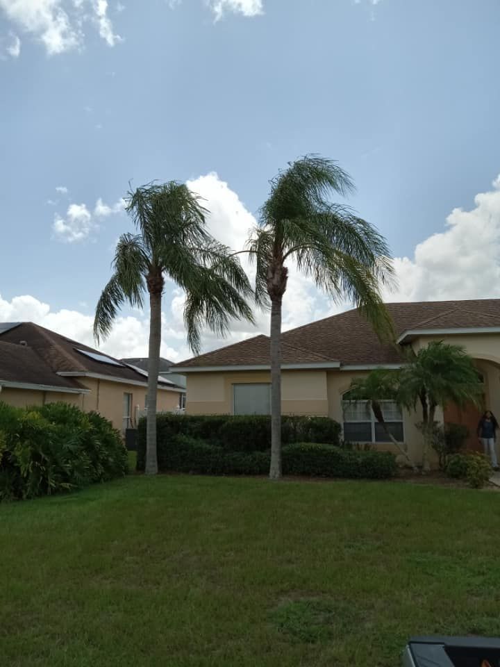 Shrub Trimming for The Family Tree Care Services LLC in Florida City, FL