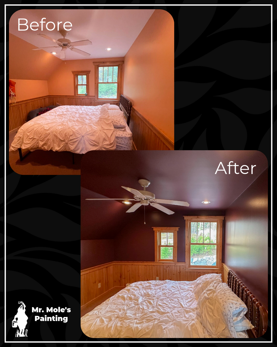 Residential Painting for Mr. Mole's Painting in Bemidji, MN