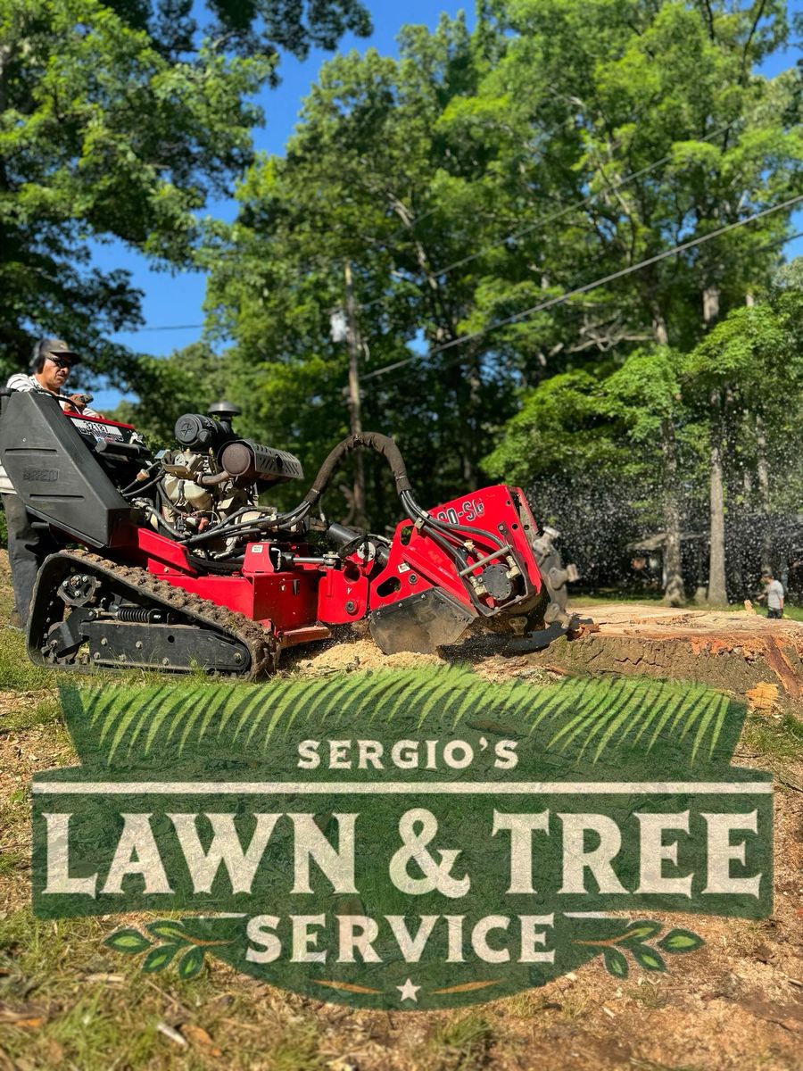 Stump Removal for Sergio’s Lawn and Tree Service in Knoxville, TN