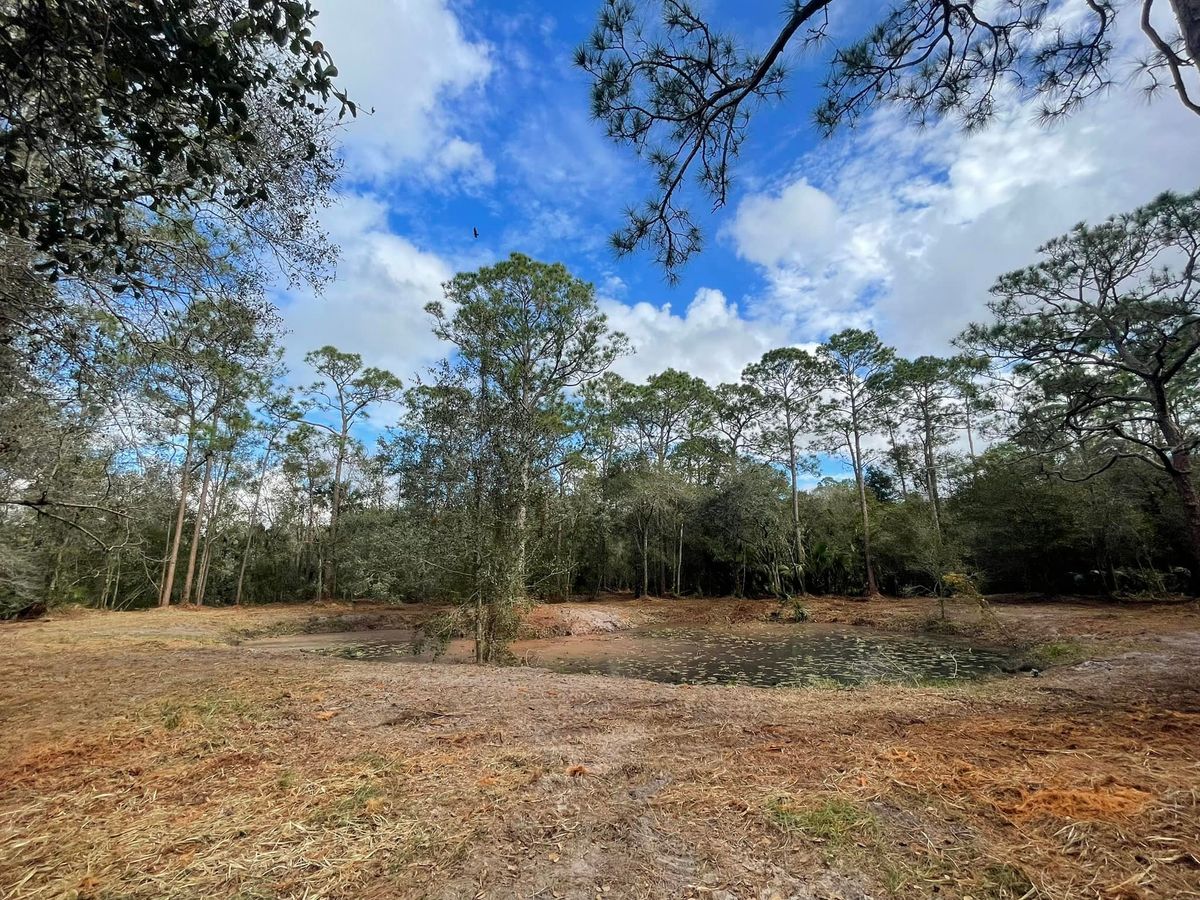 Forestry Mulching for Dynamik Land Services LLC in Okeechobee, FL