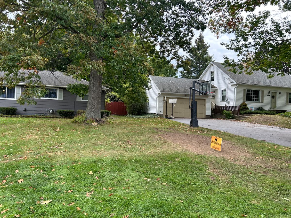 Stump Removal for S.H. Tree Service LLC in Hilton, NY