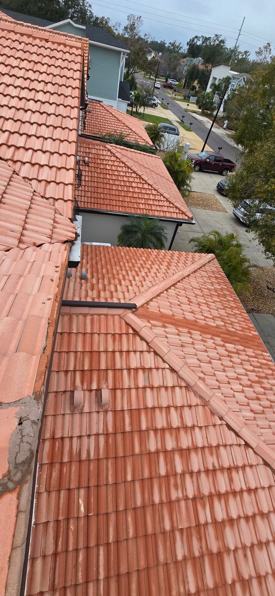 Multifamily Roof Cleaning for Blue Stream Roof Cleaning & Pressure Washing in Tampa, FL