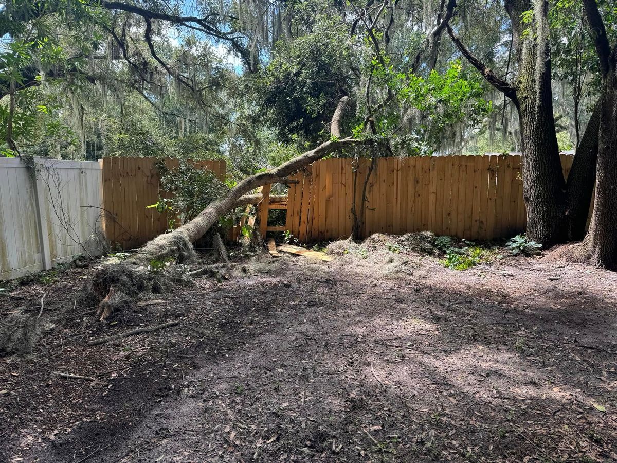 Tree Work for Native Land Management in Lakeland, FL