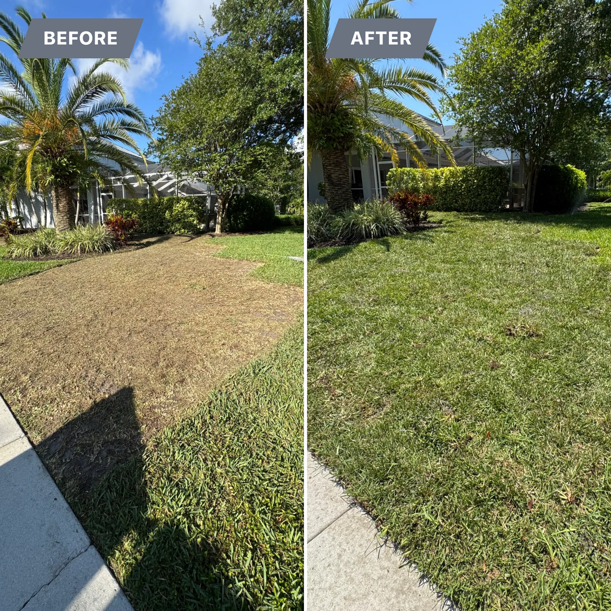 Sod installation for BH Lawn and Landscape in Fort Myers, FL
