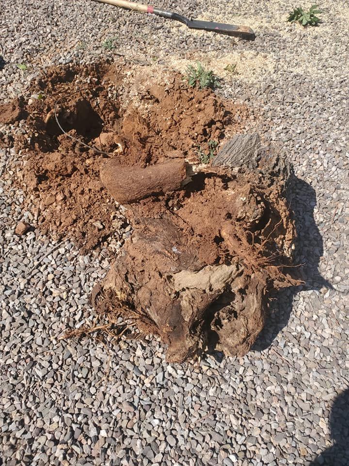 Stump Removal for A to Z Grounds Keeping in Sierra Vista, AZ