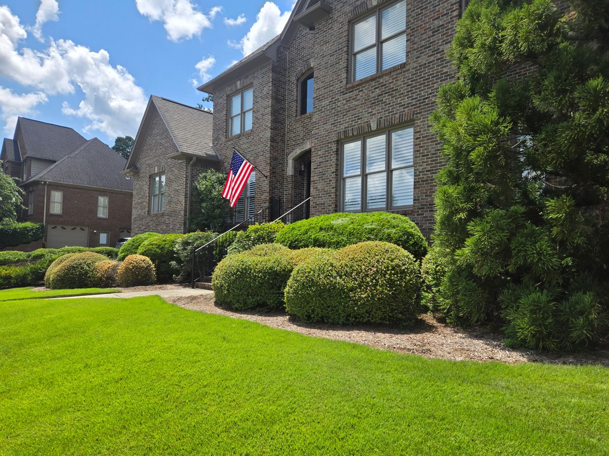 Window Cleaning for Squeaky Clean Windows Gutters & More in Hoover, AL