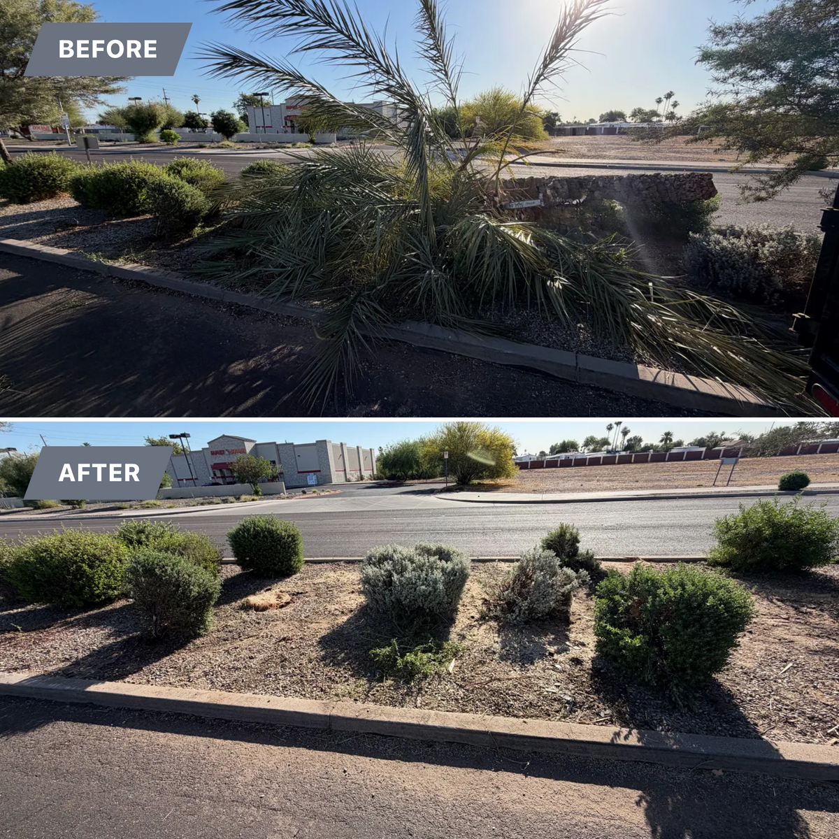 Lawn Maintenance for Grand Canyon State Landscape Inc. in Surprise, AZ