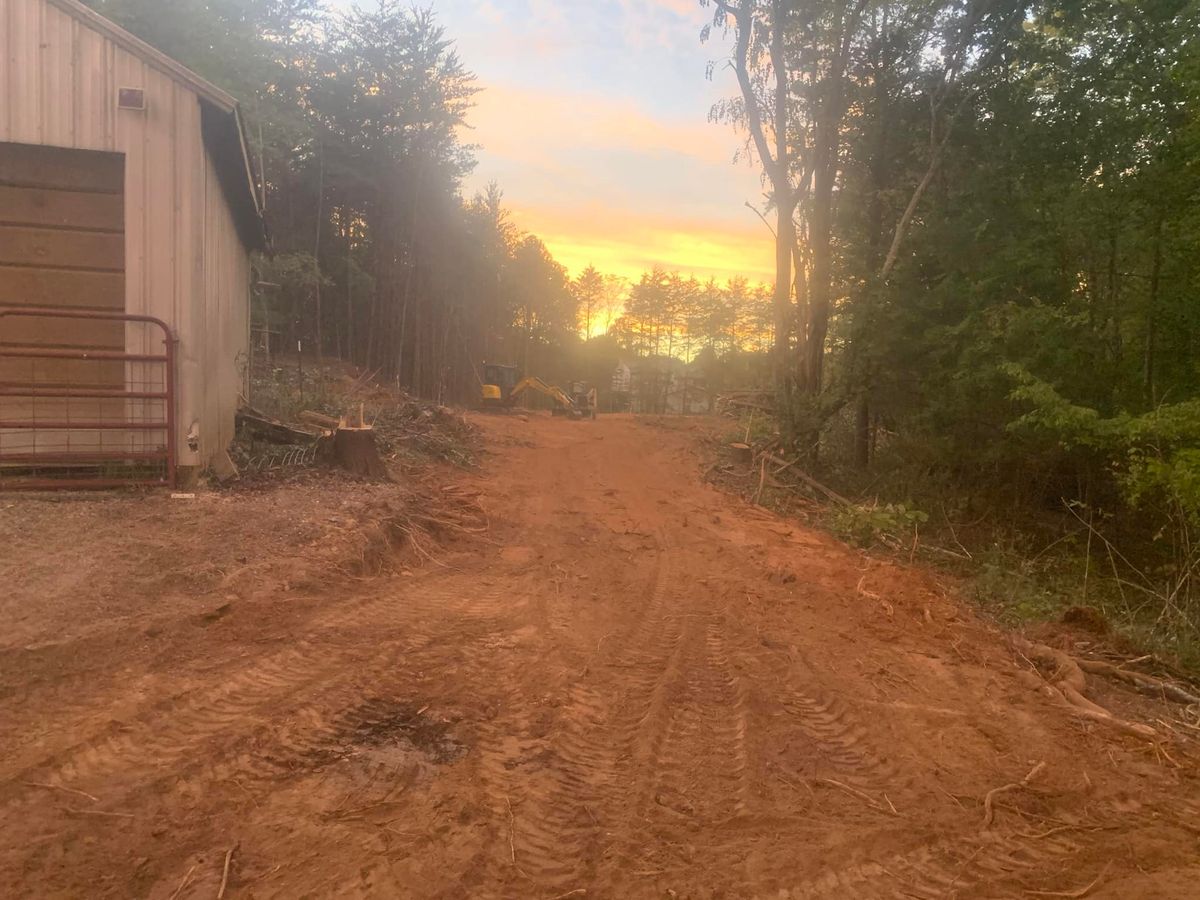 Land Clearing for Williamson Logging in Hardy, VA