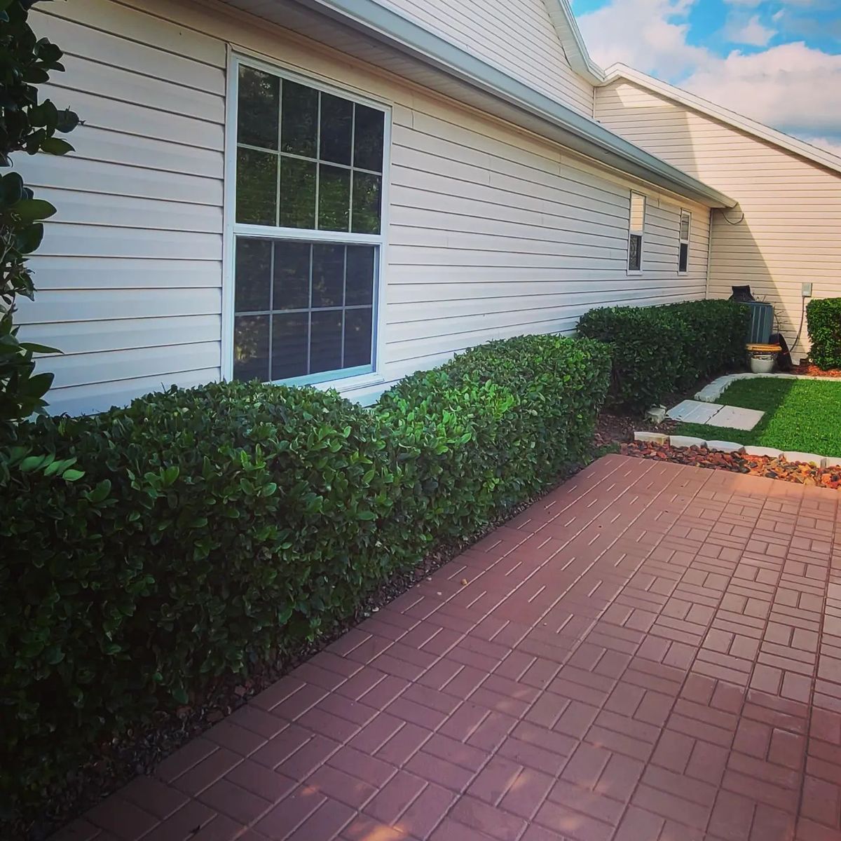 Shrub Bush and Ornamental Tree Trimming for TopNotch Landscaping Services  in The Villages, FL