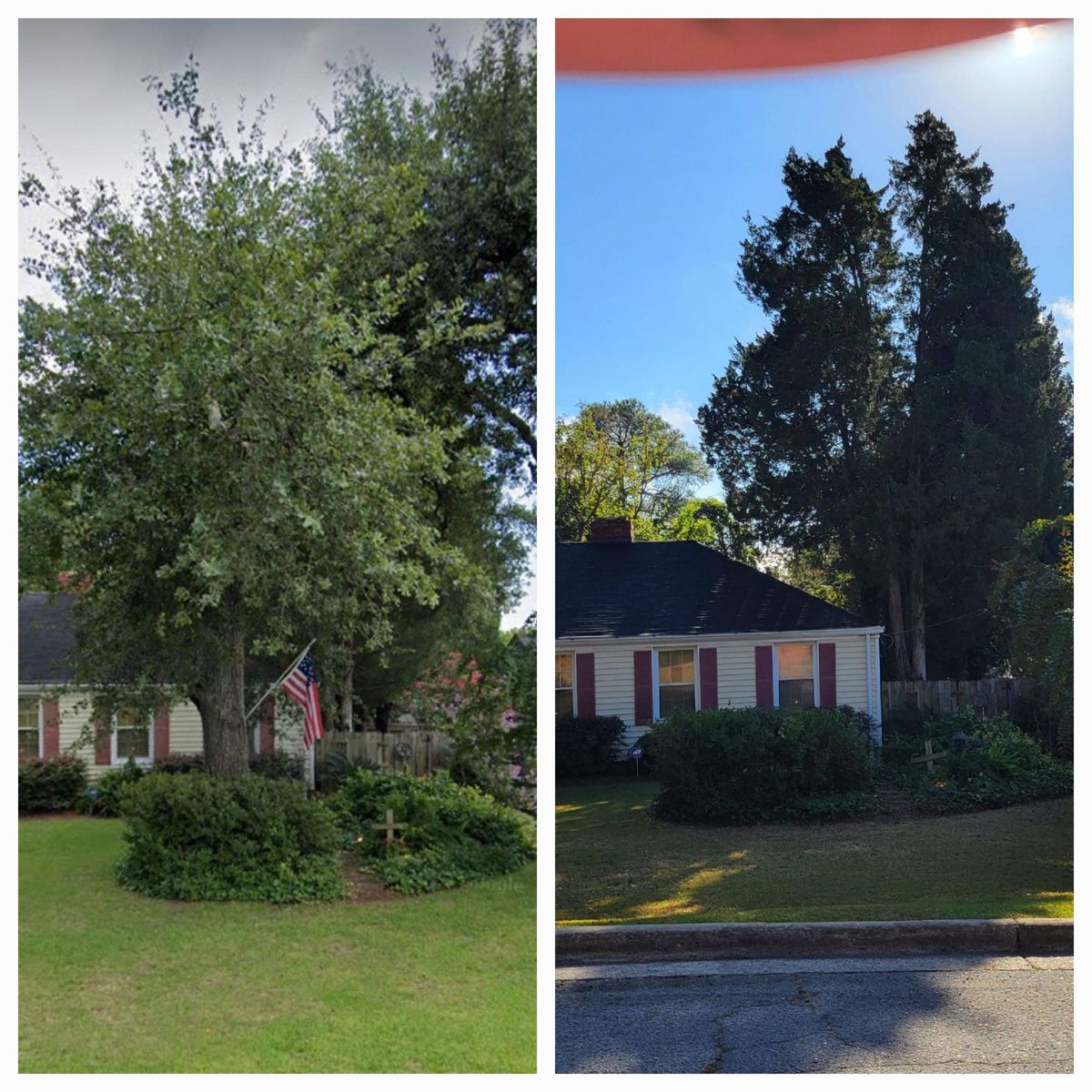 Shrub Trimming for Trees Unlimited of the CSRA in Augusta, GA