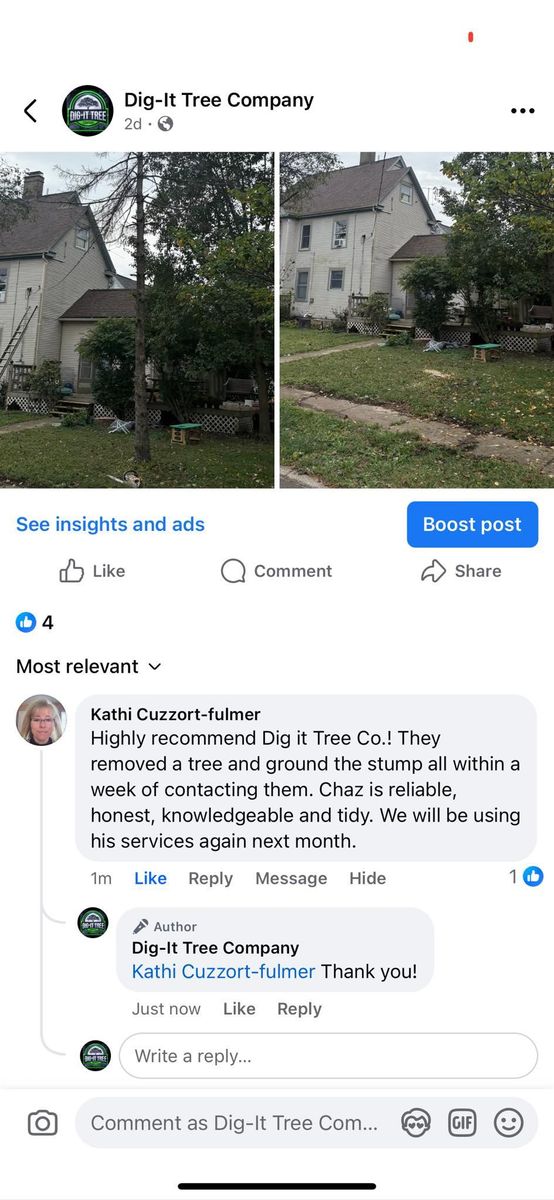 Tree Removal for Dig-It Tree Company in Mason, OH