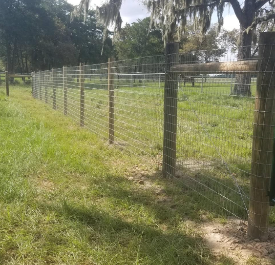 Field Fence for Pride Of Texas Fence Company in Brookshire, TX
