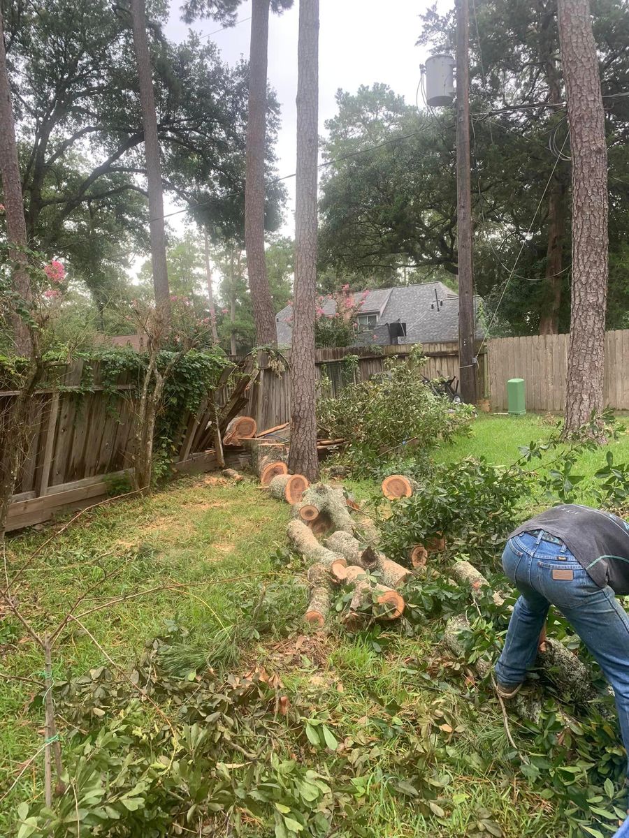 Junk Removal and Hauling Services for Teague Trees & Landscaping in Rendon, TX