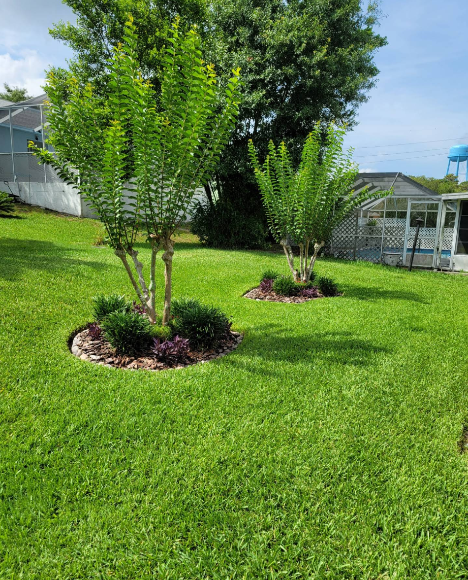 Tree Trimming for Perfect Cut Lawn & Tree Care in Citrus Springs, FL