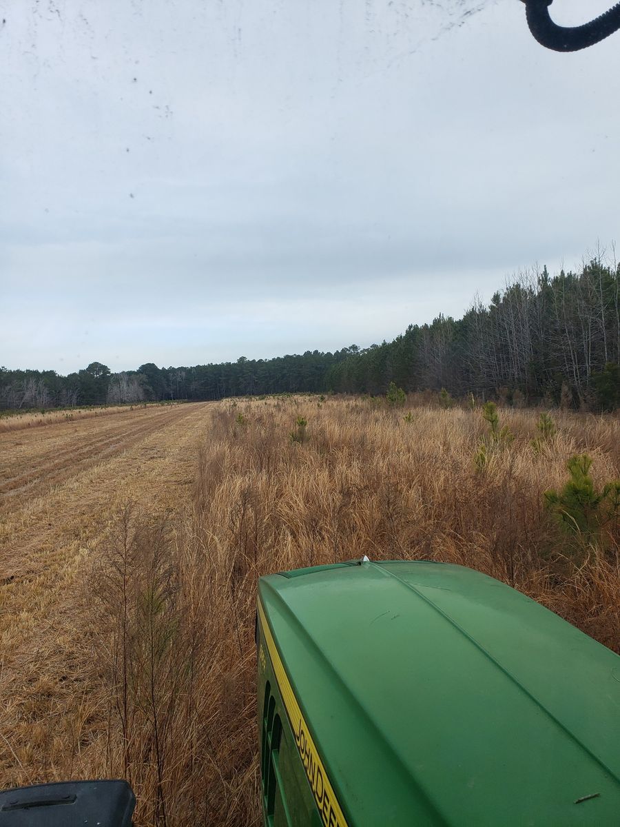 Bush Hogging for TJ Farm and Land Management in Loris, SC