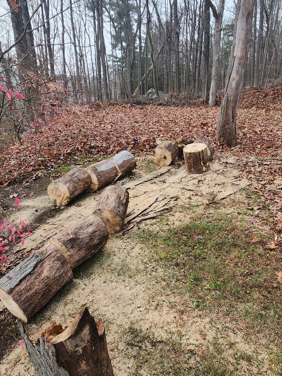 Excavation/Tractor Services for Landscape Innovations LLC in Torrington, CT