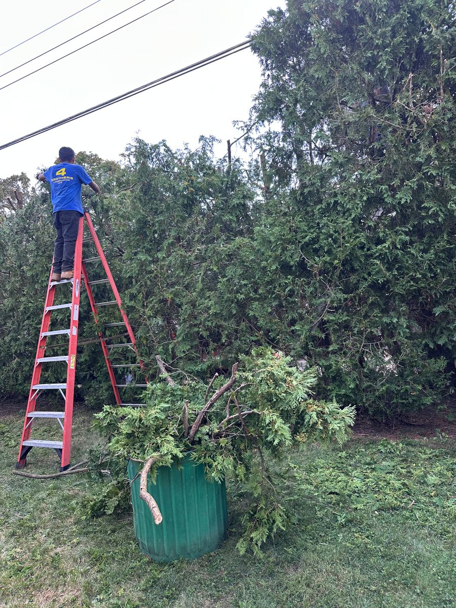 Shrub Trimming for 4 Brothers Landscaping LLC in Albany, NY