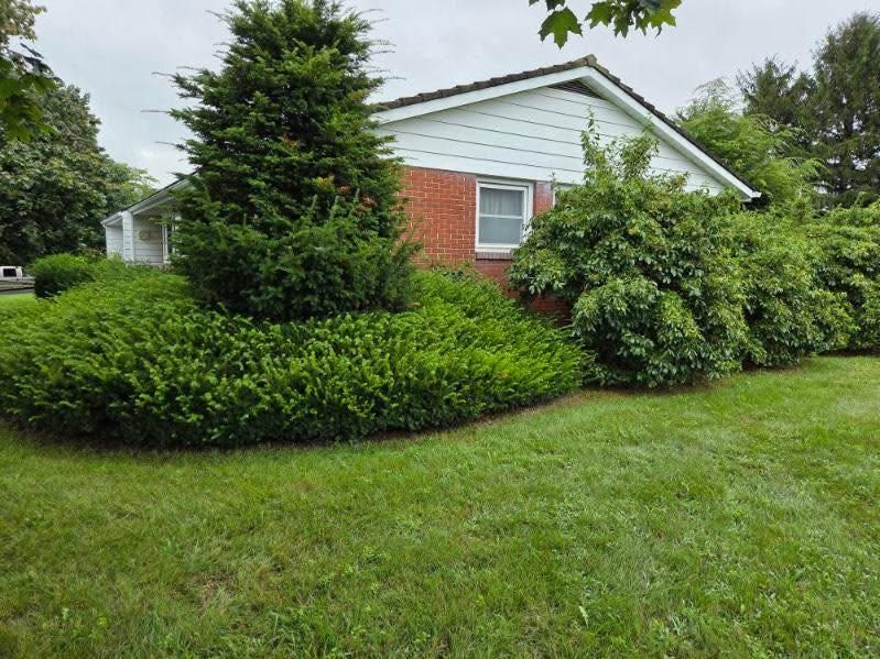 Tree Services for Jonathan A. Henne Property Services. in Hamburg, PA