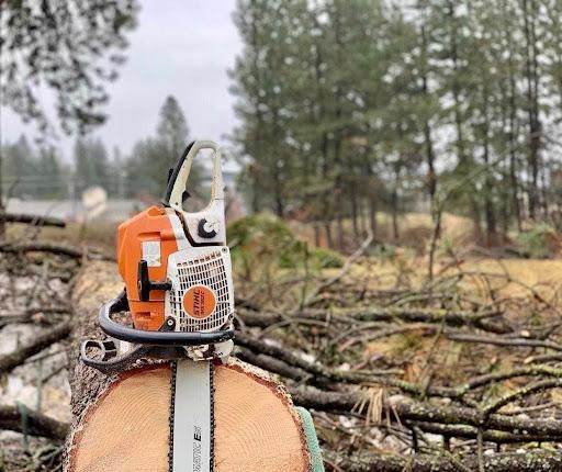 Small Scale Logging for King & Sons Urban Forestry in Coeur d'Alene, ID