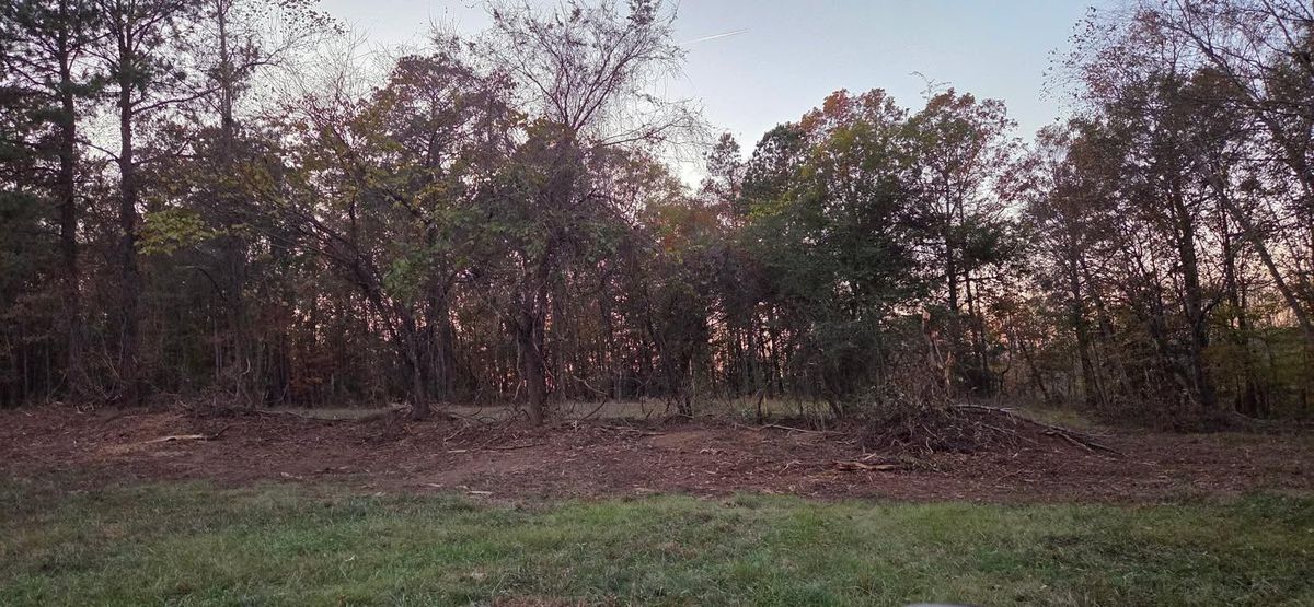 Forestry Mulching for Southern Stronghold Earthworks in Benson, NC