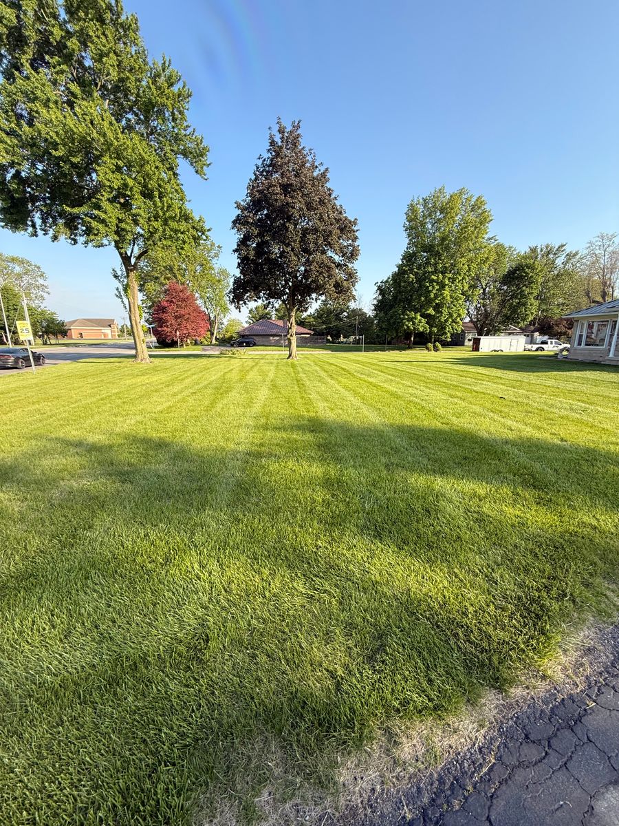 Lawn Care and Maintenance for Sneed & Co LLC in Kokomo, IN