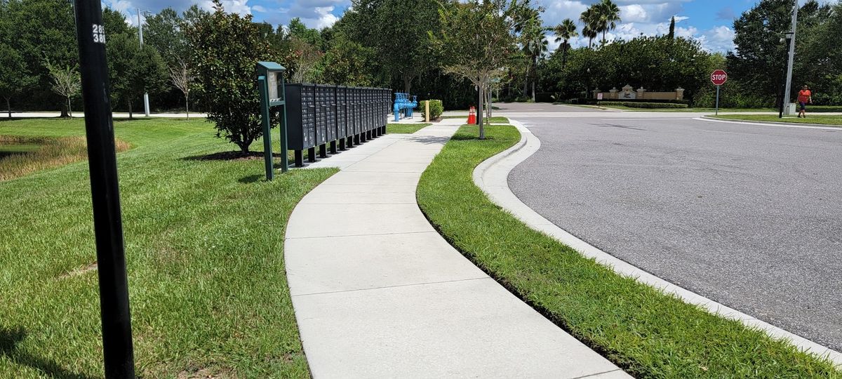 Driveway and Sidewalk Cleaning for Blue Stream Roof Cleaning & Pressure Washing  in Tampa, FL