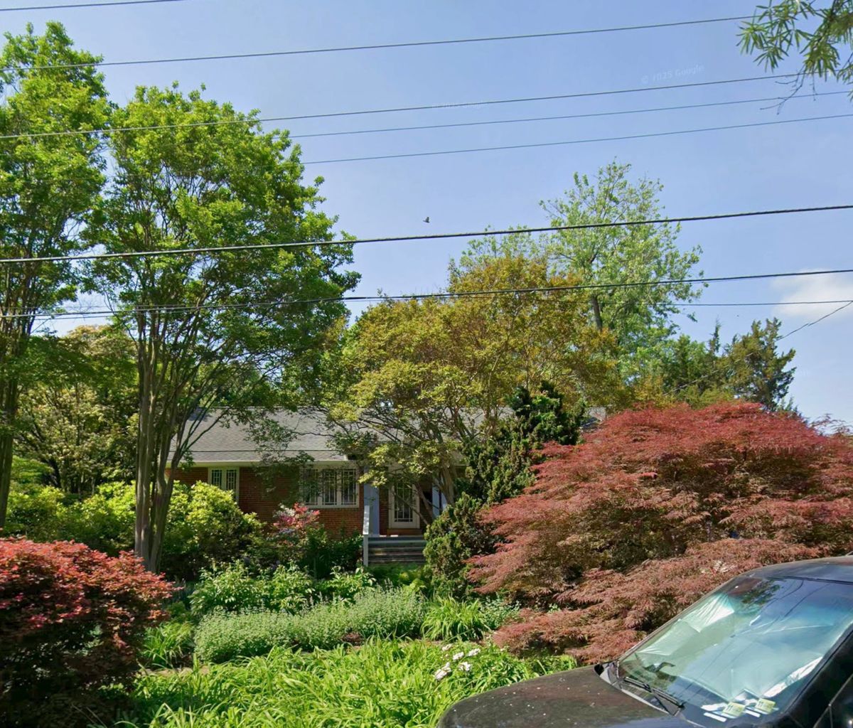 Tree Trimming & Removal for R Merkli Inc. in Mount Vernon , VA