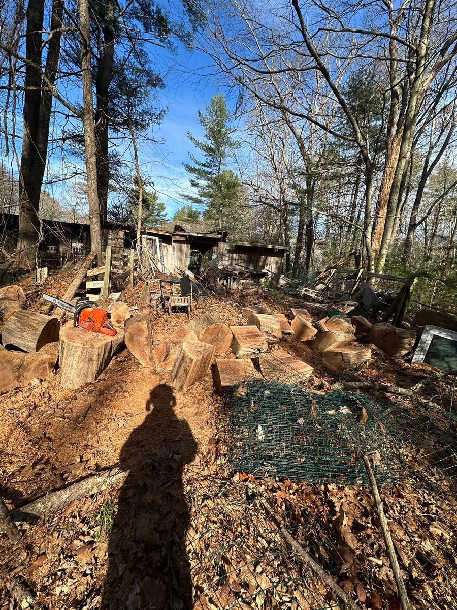 Tree Removal for Silver City Tree and Landscape in Taunton, MA
