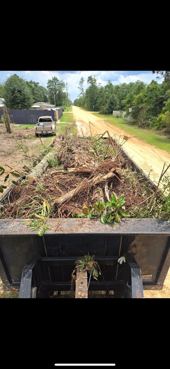 Debris Clean Up for Rogers Land Services in Hawkinsville, GA