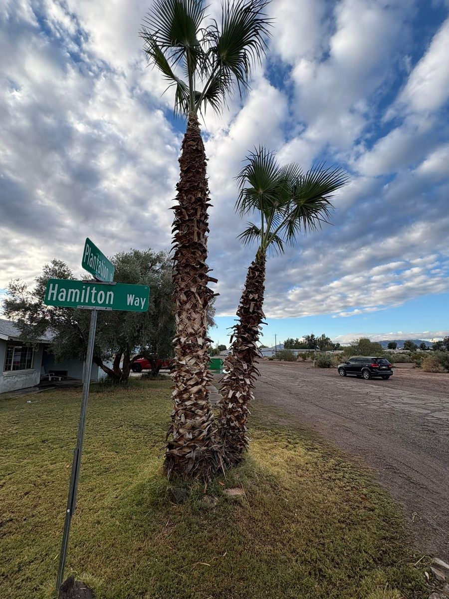 Landscape Design for Top Notch Landscape Services LLC in Mohave Valley, AZ