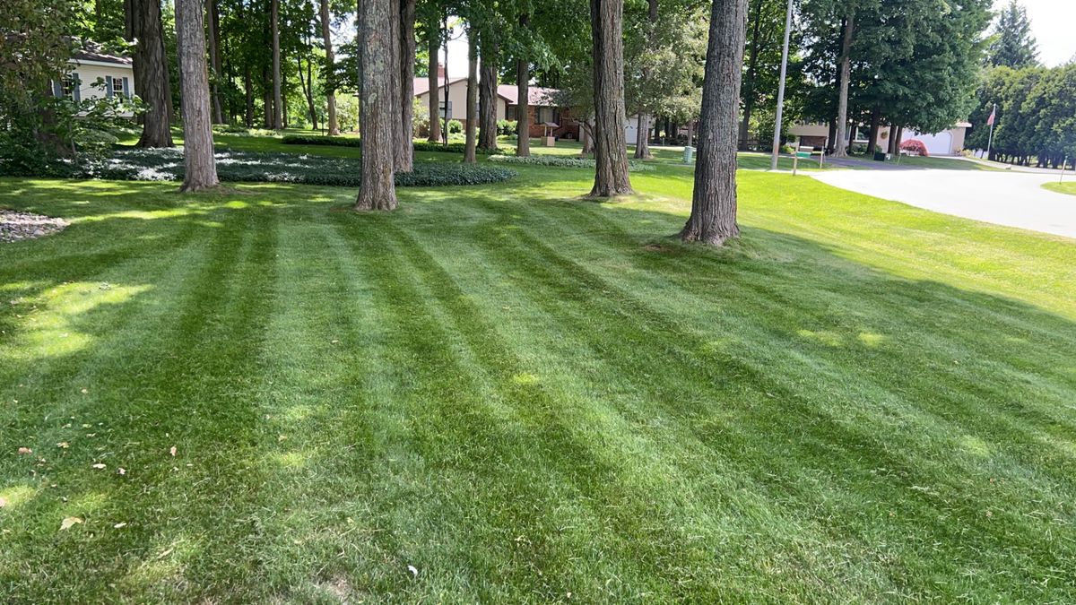 Mowing for VP Landscaping  in Fife Lake,  MI